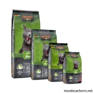 LEONARDO Classic Adult Lamb